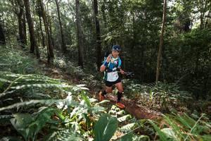 BIB: 
                            <button type="button" onclick="openModal(22543981)" class="btn btn-primary btn-sm float-right btn-popup" data-toggle="modal" data-target=".modal-high-quality">
                        <i class="fas fa-shopping-cart"></i> Add to Cart
                    </button>
                                            <button type="button" onclick="isThisMe(22543981, true)" class="btn btn-success btn-sm float-right btn-popup btn-isme hidden" data-toggle="tooltip" data-placement="bottom" title="นี่คือรูปของคุณใช่ไหม คลิกที่นี่เพื่อเอาเข้าอัลบั้ม">
                        <i class="fas fa-plus"></i> Add to album
                    </button>
                    <button type="button" onclick="isThisMe(22543981, false)" class="btn btn-warning btn-sm float-right btn-popup btn-isnotme hidden">
                        <i class="fas fa-ban"></i> Remove from album
                    </button>