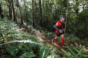 BIB: 
                            <button type="button" onclick="openModal(22547035)" class="btn btn-primary btn-sm float-right btn-popup" data-toggle="modal" data-target=".modal-high-quality">
                        <i class="fas fa-shopping-cart"></i> Add to Cart
                    </button>
                                            <button type="button" onclick="isThisMe(22547035, true)" class="btn btn-success btn-sm float-right btn-popup btn-isme hidden" data-toggle="tooltip" data-placement="bottom" title="นี่คือรูปของคุณใช่ไหม คลิกที่นี่เพื่อเอาเข้าอัลบั้ม">
                        <i class="fas fa-plus"></i> Add to album
                    </button>
                    <button type="button" onclick="isThisMe(22547035, false)" class="btn btn-warning btn-sm float-right btn-popup btn-isnotme hidden">
                        <i class="fas fa-ban"></i> Remove from album
                    </button>