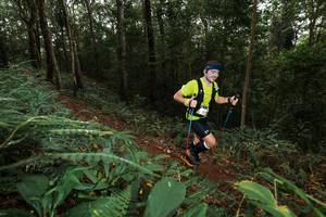 BIB: 
                            <button type="button" onclick="openModal(22533190)" class="btn btn-primary btn-sm float-right btn-popup" data-toggle="modal" data-target=".modal-high-quality">
                        <i class="fas fa-shopping-cart"></i> Add to Cart
                    </button>
                                            <button type="button" onclick="isThisMe(22533190, true)" class="btn btn-success btn-sm float-right btn-popup btn-isme hidden" data-toggle="tooltip" data-placement="bottom" title="นี่คือรูปของคุณใช่ไหม คลิกที่นี่เพื่อเอาเข้าอัลบั้ม">
                        <i class="fas fa-plus"></i> Add to album
                    </button>
                    <button type="button" onclick="isThisMe(22533190, false)" class="btn btn-warning btn-sm float-right btn-popup btn-isnotme hidden">
                        <i class="fas fa-ban"></i> Remove from album
                    </button>