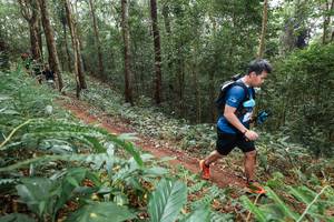 BIB: 
                            <button type="button" onclick="openModal(22584133)" class="btn btn-primary btn-sm float-right btn-popup" data-toggle="modal" data-target=".modal-high-quality">
                        <i class="fas fa-shopping-cart"></i> Add to Cart
                    </button>
                                            <button type="button" onclick="isThisMe(22584133, true)" class="btn btn-success btn-sm float-right btn-popup btn-isme hidden" data-toggle="tooltip" data-placement="bottom" title="นี่คือรูปของคุณใช่ไหม คลิกที่นี่เพื่อเอาเข้าอัลบั้ม">
                        <i class="fas fa-plus"></i> Add to album
                    </button>
                    <button type="button" onclick="isThisMe(22584133, false)" class="btn btn-warning btn-sm float-right btn-popup btn-isnotme hidden">
                        <i class="fas fa-ban"></i> Remove from album
                    </button>