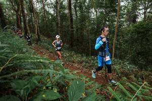 BIB: 
                            <button type="button" onclick="openModal(22571378)" class="btn btn-primary btn-sm float-right btn-popup" data-toggle="modal" data-target=".modal-high-quality">
                        <i class="fas fa-shopping-cart"></i> Add to Cart
                    </button>
                                            <button type="button" onclick="isThisMe(22571378, true)" class="btn btn-success btn-sm float-right btn-popup btn-isme hidden" data-toggle="tooltip" data-placement="bottom" title="นี่คือรูปของคุณใช่ไหม คลิกที่นี่เพื่อเอาเข้าอัลบั้ม">
                        <i class="fas fa-plus"></i> Add to album
                    </button>
                    <button type="button" onclick="isThisMe(22571378, false)" class="btn btn-warning btn-sm float-right btn-popup btn-isnotme hidden">
                        <i class="fas fa-ban"></i> Remove from album
                    </button>