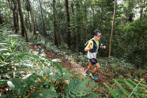 BIB: 
                            <button type="button" onclick="openModal(22545610)" class="btn btn-primary btn-sm float-right btn-popup" data-toggle="modal" data-target=".modal-high-quality">
                        <i class="fas fa-shopping-cart"></i> Add to Cart
                    </button>
                                            <button type="button" onclick="isThisMe(22545610, true)" class="btn btn-success btn-sm float-right btn-popup btn-isme hidden" data-toggle="tooltip" data-placement="bottom" title="นี่คือรูปของคุณใช่ไหม คลิกที่นี่เพื่อเอาเข้าอัลบั้ม">
                        <i class="fas fa-plus"></i> Add to album
                    </button>
                    <button type="button" onclick="isThisMe(22545610, false)" class="btn btn-warning btn-sm float-right btn-popup btn-isnotme hidden">
                        <i class="fas fa-ban"></i> Remove from album
                    </button>