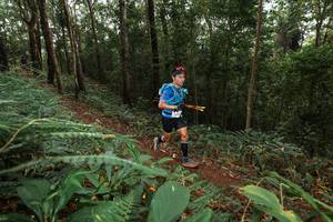 BIB: 
                            <button type="button" onclick="openModal(22535312)" class="btn btn-primary btn-sm float-right btn-popup" data-toggle="modal" data-target=".modal-high-quality">
                        <i class="fas fa-shopping-cart"></i> Add to Cart
                    </button>
                                            <button type="button" onclick="isThisMe(22535312, true)" class="btn btn-success btn-sm float-right btn-popup btn-isme hidden" data-toggle="tooltip" data-placement="bottom" title="นี่คือรูปของคุณใช่ไหม คลิกที่นี่เพื่อเอาเข้าอัลบั้ม">
                        <i class="fas fa-plus"></i> Add to album
                    </button>
                    <button type="button" onclick="isThisMe(22535312, false)" class="btn btn-warning btn-sm float-right btn-popup btn-isnotme hidden">
                        <i class="fas fa-ban"></i> Remove from album
                    </button>