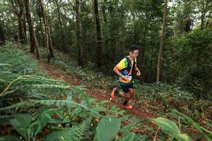 BIB: 
                            <button type="button" onclick="openModal(22534981)" class="btn btn-primary btn-sm float-right btn-popup" data-toggle="modal" data-target=".modal-high-quality">
                        <i class="fas fa-shopping-cart"></i> Add to Cart
                    </button>
                                            <button type="button" onclick="isThisMe(22534981, true)" class="btn btn-success btn-sm float-right btn-popup btn-isme hidden" data-toggle="tooltip" data-placement="bottom" title="นี่คือรูปของคุณใช่ไหม คลิกที่นี่เพื่อเอาเข้าอัลบั้ม">
                        <i class="fas fa-plus"></i> Add to album
                    </button>
                    <button type="button" onclick="isThisMe(22534981, false)" class="btn btn-warning btn-sm float-right btn-popup btn-isnotme hidden">
                        <i class="fas fa-ban"></i> Remove from album
                    </button>