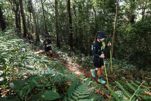 BIB: 
                            <button type="button" onclick="openModal(22546551)" class="btn btn-primary btn-sm float-right btn-popup" data-toggle="modal" data-target=".modal-high-quality">
                        <i class="fas fa-shopping-cart"></i> Add to Cart
                    </button>
                                            <button type="button" onclick="isThisMe(22546551, true)" class="btn btn-success btn-sm float-right btn-popup btn-isme hidden" data-toggle="tooltip" data-placement="bottom" title="นี่คือรูปของคุณใช่ไหม คลิกที่นี่เพื่อเอาเข้าอัลบั้ม">
                        <i class="fas fa-plus"></i> Add to album
                    </button>
                    <button type="button" onclick="isThisMe(22546551, false)" class="btn btn-warning btn-sm float-right btn-popup btn-isnotme hidden">
                        <i class="fas fa-ban"></i> Remove from album
                    </button>