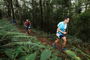 BIB: 861
                            <button type="button" onclick="openModal(22536199)" class="btn btn-primary btn-sm float-right btn-popup" data-toggle="modal" data-target=".modal-high-quality">
                        <i class="fas fa-shopping-cart"></i> Add to Cart
                    </button>
                                            <button type="button" onclick="isThisMe(22536199, true)" class="btn btn-success btn-sm float-right btn-popup btn-isme hidden" data-toggle="tooltip" data-placement="bottom" title="นี่คือรูปของคุณใช่ไหม คลิกที่นี่เพื่อเอาเข้าอัลบั้ม">
                        <i class="fas fa-plus"></i> Add to album
                    </button>
                    <button type="button" onclick="isThisMe(22536199, false)" class="btn btn-warning btn-sm float-right btn-popup btn-isnotme hidden">
                        <i class="fas fa-ban"></i> Remove from album
                    </button>