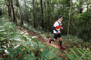 BIB: 
                            <button type="button" onclick="openModal(22545580)" class="btn btn-primary btn-sm float-right btn-popup" data-toggle="modal" data-target=".modal-high-quality">
                        <i class="fas fa-shopping-cart"></i> Add to Cart
                    </button>
                                            <button type="button" onclick="isThisMe(22545580, true)" class="btn btn-success btn-sm float-right btn-popup btn-isme hidden" data-toggle="tooltip" data-placement="bottom" title="นี่คือรูปของคุณใช่ไหม คลิกที่นี่เพื่อเอาเข้าอัลบั้ม">
                        <i class="fas fa-plus"></i> Add to album
                    </button>
                    <button type="button" onclick="isThisMe(22545580, false)" class="btn btn-warning btn-sm float-right btn-popup btn-isnotme hidden">
                        <i class="fas fa-ban"></i> Remove from album
                    </button>