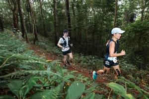 BIB: 
                            <button type="button" onclick="openModal(22532929)" class="btn btn-primary btn-sm float-right btn-popup" data-toggle="modal" data-target=".modal-high-quality">
                        <i class="fas fa-shopping-cart"></i> Add to Cart
                    </button>
                                            <button type="button" onclick="isThisMe(22532929, true)" class="btn btn-success btn-sm float-right btn-popup btn-isme hidden" data-toggle="tooltip" data-placement="bottom" title="นี่คือรูปของคุณใช่ไหม คลิกที่นี่เพื่อเอาเข้าอัลบั้ม">
                        <i class="fas fa-plus"></i> Add to album
                    </button>
                    <button type="button" onclick="isThisMe(22532929, false)" class="btn btn-warning btn-sm float-right btn-popup btn-isnotme hidden">
                        <i class="fas fa-ban"></i> Remove from album
                    </button>