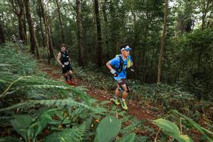 BIB: 13541
                            <button type="button" onclick="openModal(22534692)" class="btn btn-primary btn-sm float-right btn-popup" data-toggle="modal" data-target=".modal-high-quality">
                        <i class="fas fa-shopping-cart"></i> Add to Cart
                    </button>
                                            <button type="button" onclick="isThisMe(22534692, true)" class="btn btn-success btn-sm float-right btn-popup btn-isme hidden" data-toggle="tooltip" data-placement="bottom" title="นี่คือรูปของคุณใช่ไหม คลิกที่นี่เพื่อเอาเข้าอัลบั้ม">
                        <i class="fas fa-plus"></i> Add to album
                    </button>
                    <button type="button" onclick="isThisMe(22534692, false)" class="btn btn-warning btn-sm float-right btn-popup btn-isnotme hidden">
                        <i class="fas fa-ban"></i> Remove from album
                    </button>