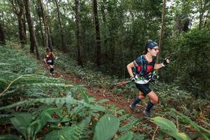 BIB: 
                            <button type="button" onclick="openModal(22541869)" class="btn btn-primary btn-sm float-right btn-popup" data-toggle="modal" data-target=".modal-high-quality">
                        <i class="fas fa-shopping-cart"></i> Add to Cart
                    </button>
                                            <button type="button" onclick="isThisMe(22541869, true)" class="btn btn-success btn-sm float-right btn-popup btn-isme hidden" data-toggle="tooltip" data-placement="bottom" title="นี่คือรูปของคุณใช่ไหม คลิกที่นี่เพื่อเอาเข้าอัลบั้ม">
                        <i class="fas fa-plus"></i> Add to album
                    </button>
                    <button type="button" onclick="isThisMe(22541869, false)" class="btn btn-warning btn-sm float-right btn-popup btn-isnotme hidden">
                        <i class="fas fa-ban"></i> Remove from album
                    </button>