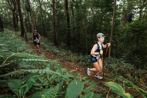 BIB: 
                            <button type="button" onclick="openModal(22533490)" class="btn btn-primary btn-sm float-right btn-popup" data-toggle="modal" data-target=".modal-high-quality">
                        <i class="fas fa-shopping-cart"></i> Add to Cart
                    </button>
                                            <button type="button" onclick="isThisMe(22533490, true)" class="btn btn-success btn-sm float-right btn-popup btn-isme hidden" data-toggle="tooltip" data-placement="bottom" title="นี่คือรูปของคุณใช่ไหม คลิกที่นี่เพื่อเอาเข้าอัลบั้ม">
                        <i class="fas fa-plus"></i> Add to album
                    </button>
                    <button type="button" onclick="isThisMe(22533490, false)" class="btn btn-warning btn-sm float-right btn-popup btn-isnotme hidden">
                        <i class="fas fa-ban"></i> Remove from album
                    </button>