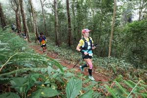 BIB: 
                            <button type="button" onclick="openModal(22573674)" class="btn btn-primary btn-sm float-right btn-popup" data-toggle="modal" data-target=".modal-high-quality">
                        <i class="fas fa-shopping-cart"></i> Add to Cart
                    </button>
                                            <button type="button" onclick="isThisMe(22573674, true)" class="btn btn-success btn-sm float-right btn-popup btn-isme hidden" data-toggle="tooltip" data-placement="bottom" title="นี่คือรูปของคุณใช่ไหม คลิกที่นี่เพื่อเอาเข้าอัลบั้ม">
                        <i class="fas fa-plus"></i> Add to album
                    </button>
                    <button type="button" onclick="isThisMe(22573674, false)" class="btn btn-warning btn-sm float-right btn-popup btn-isnotme hidden">
                        <i class="fas fa-ban"></i> Remove from album
                    </button>