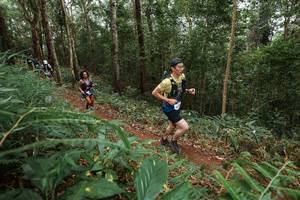 BIB: 
                            <button type="button" onclick="openModal(22571072)" class="btn btn-primary btn-sm float-right btn-popup" data-toggle="modal" data-target=".modal-high-quality">
                        <i class="fas fa-shopping-cart"></i> Add to Cart
                    </button>
                                            <button type="button" onclick="isThisMe(22571072, true)" class="btn btn-success btn-sm float-right btn-popup btn-isme hidden" data-toggle="tooltip" data-placement="bottom" title="นี่คือรูปของคุณใช่ไหม คลิกที่นี่เพื่อเอาเข้าอัลบั้ม">
                        <i class="fas fa-plus"></i> Add to album
                    </button>
                    <button type="button" onclick="isThisMe(22571072, false)" class="btn btn-warning btn-sm float-right btn-popup btn-isnotme hidden">
                        <i class="fas fa-ban"></i> Remove from album
                    </button>