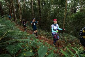 BIB: 
                            <button type="button" onclick="openModal(22582868)" class="btn btn-primary btn-sm float-right btn-popup" data-toggle="modal" data-target=".modal-high-quality">
                        <i class="fas fa-shopping-cart"></i> Add to Cart
                    </button>
                                            <button type="button" onclick="isThisMe(22582868, true)" class="btn btn-success btn-sm float-right btn-popup btn-isme hidden" data-toggle="tooltip" data-placement="bottom" title="นี่คือรูปของคุณใช่ไหม คลิกที่นี่เพื่อเอาเข้าอัลบั้ม">
                        <i class="fas fa-plus"></i> Add to album
                    </button>
                    <button type="button" onclick="isThisMe(22582868, false)" class="btn btn-warning btn-sm float-right btn-popup btn-isnotme hidden">
                        <i class="fas fa-ban"></i> Remove from album
                    </button>