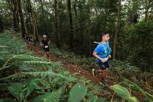 BIB: 
                            <button type="button" onclick="openModal(22533406)" class="btn btn-primary btn-sm float-right btn-popup" data-toggle="modal" data-target=".modal-high-quality">
                        <i class="fas fa-shopping-cart"></i> Add to Cart
                    </button>
                                            <button type="button" onclick="isThisMe(22533406, true)" class="btn btn-success btn-sm float-right btn-popup btn-isme hidden" data-toggle="tooltip" data-placement="bottom" title="นี่คือรูปของคุณใช่ไหม คลิกที่นี่เพื่อเอาเข้าอัลบั้ม">
                        <i class="fas fa-plus"></i> Add to album
                    </button>
                    <button type="button" onclick="isThisMe(22533406, false)" class="btn btn-warning btn-sm float-right btn-popup btn-isnotme hidden">
                        <i class="fas fa-ban"></i> Remove from album
                    </button>