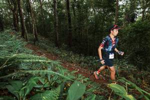 BIB: 
                            <button type="button" onclick="openModal(22533677)" class="btn btn-primary btn-sm float-right btn-popup" data-toggle="modal" data-target=".modal-high-quality">
                        <i class="fas fa-shopping-cart"></i> Add to Cart
                    </button>
                                            <button type="button" onclick="isThisMe(22533677, true)" class="btn btn-success btn-sm float-right btn-popup btn-isme hidden" data-toggle="tooltip" data-placement="bottom" title="นี่คือรูปของคุณใช่ไหม คลิกที่นี่เพื่อเอาเข้าอัลบั้ม">
                        <i class="fas fa-plus"></i> Add to album
                    </button>
                    <button type="button" onclick="isThisMe(22533677, false)" class="btn btn-warning btn-sm float-right btn-popup btn-isnotme hidden">
                        <i class="fas fa-ban"></i> Remove from album
                    </button>