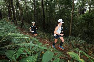 BIB: 
                            <button type="button" onclick="openModal(22538904)" class="btn btn-primary btn-sm float-right btn-popup" data-toggle="modal" data-target=".modal-high-quality">
                        <i class="fas fa-shopping-cart"></i> Add to Cart
                    </button>
                                            <button type="button" onclick="isThisMe(22538904, true)" class="btn btn-success btn-sm float-right btn-popup btn-isme hidden" data-toggle="tooltip" data-placement="bottom" title="นี่คือรูปของคุณใช่ไหม คลิกที่นี่เพื่อเอาเข้าอัลบั้ม">
                        <i class="fas fa-plus"></i> Add to album
                    </button>
                    <button type="button" onclick="isThisMe(22538904, false)" class="btn btn-warning btn-sm float-right btn-popup btn-isnotme hidden">
                        <i class="fas fa-ban"></i> Remove from album
                    </button>