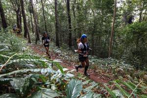 BIB: 
                            <button type="button" onclick="openModal(22564375)" class="btn btn-primary btn-sm float-right btn-popup" data-toggle="modal" data-target=".modal-high-quality">
                        <i class="fas fa-shopping-cart"></i> Add to Cart
                    </button>
                                            <button type="button" onclick="isThisMe(22564375, true)" class="btn btn-success btn-sm float-right btn-popup btn-isme hidden" data-toggle="tooltip" data-placement="bottom" title="นี่คือรูปของคุณใช่ไหม คลิกที่นี่เพื่อเอาเข้าอัลบั้ม">
                        <i class="fas fa-plus"></i> Add to album
                    </button>
                    <button type="button" onclick="isThisMe(22564375, false)" class="btn btn-warning btn-sm float-right btn-popup btn-isnotme hidden">
                        <i class="fas fa-ban"></i> Remove from album
                    </button>