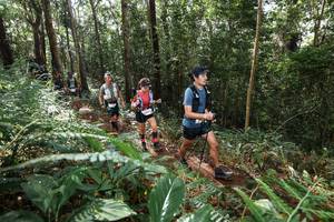 BIB: 
                            <button type="button" onclick="openModal(22547434)" class="btn btn-primary btn-sm float-right btn-popup" data-toggle="modal" data-target=".modal-high-quality">
                        <i class="fas fa-shopping-cart"></i> Add to Cart
                    </button>
                                            <button type="button" onclick="isThisMe(22547434, true)" class="btn btn-success btn-sm float-right btn-popup btn-isme hidden" data-toggle="tooltip" data-placement="bottom" title="นี่คือรูปของคุณใช่ไหม คลิกที่นี่เพื่อเอาเข้าอัลบั้ม">
                        <i class="fas fa-plus"></i> Add to album
                    </button>
                    <button type="button" onclick="isThisMe(22547434, false)" class="btn btn-warning btn-sm float-right btn-popup btn-isnotme hidden">
                        <i class="fas fa-ban"></i> Remove from album
                    </button>