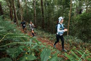 BIB: 
                            <button type="button" onclick="openModal(22583010)" class="btn btn-primary btn-sm float-right btn-popup" data-toggle="modal" data-target=".modal-high-quality">
                        <i class="fas fa-shopping-cart"></i> Add to Cart
                    </button>
                                            <button type="button" onclick="isThisMe(22583010, true)" class="btn btn-success btn-sm float-right btn-popup btn-isme hidden" data-toggle="tooltip" data-placement="bottom" title="นี่คือรูปของคุณใช่ไหม คลิกที่นี่เพื่อเอาเข้าอัลบั้ม">
                        <i class="fas fa-plus"></i> Add to album
                    </button>
                    <button type="button" onclick="isThisMe(22583010, false)" class="btn btn-warning btn-sm float-right btn-popup btn-isnotme hidden">
                        <i class="fas fa-ban"></i> Remove from album
                    </button>