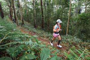 BIB: 
                            <button type="button" onclick="openModal(22579709)" class="btn btn-primary btn-sm float-right btn-popup" data-toggle="modal" data-target=".modal-high-quality">
                        <i class="fas fa-shopping-cart"></i> Add to Cart
                    </button>
                                            <button type="button" onclick="isThisMe(22579709, true)" class="btn btn-success btn-sm float-right btn-popup btn-isme hidden" data-toggle="tooltip" data-placement="bottom" title="นี่คือรูปของคุณใช่ไหม คลิกที่นี่เพื่อเอาเข้าอัลบั้ม">
                        <i class="fas fa-plus"></i> Add to album
                    </button>
                    <button type="button" onclick="isThisMe(22579709, false)" class="btn btn-warning btn-sm float-right btn-popup btn-isnotme hidden">
                        <i class="fas fa-ban"></i> Remove from album
                    </button>