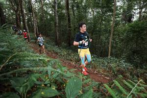 BIB: 
                            <button type="button" onclick="openModal(22567732)" class="btn btn-primary btn-sm float-right btn-popup" data-toggle="modal" data-target=".modal-high-quality">
                        <i class="fas fa-shopping-cart"></i> Add to Cart
                    </button>
                                            <button type="button" onclick="isThisMe(22567732, true)" class="btn btn-success btn-sm float-right btn-popup btn-isme hidden" data-toggle="tooltip" data-placement="bottom" title="นี่คือรูปของคุณใช่ไหม คลิกที่นี่เพื่อเอาเข้าอัลบั้ม">
                        <i class="fas fa-plus"></i> Add to album
                    </button>
                    <button type="button" onclick="isThisMe(22567732, false)" class="btn btn-warning btn-sm float-right btn-popup btn-isnotme hidden">
                        <i class="fas fa-ban"></i> Remove from album
                    </button>