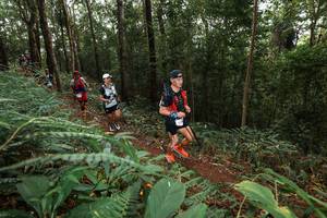 BIB: 
                            <button type="button" onclick="openModal(22537028)" class="btn btn-primary btn-sm float-right btn-popup" data-toggle="modal" data-target=".modal-high-quality">
                        <i class="fas fa-shopping-cart"></i> Add to Cart
                    </button>
                                            <button type="button" onclick="isThisMe(22537028, true)" class="btn btn-success btn-sm float-right btn-popup btn-isme hidden" data-toggle="tooltip" data-placement="bottom" title="นี่คือรูปของคุณใช่ไหม คลิกที่นี่เพื่อเอาเข้าอัลบั้ม">
                        <i class="fas fa-plus"></i> Add to album
                    </button>
                    <button type="button" onclick="isThisMe(22537028, false)" class="btn btn-warning btn-sm float-right btn-popup btn-isnotme hidden">
                        <i class="fas fa-ban"></i> Remove from album
                    </button>