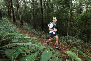 BIB: 
                            <button type="button" onclick="openModal(22532948)" class="btn btn-primary btn-sm float-right btn-popup" data-toggle="modal" data-target=".modal-high-quality">
                        <i class="fas fa-shopping-cart"></i> Add to Cart
                    </button>
                                            <button type="button" onclick="isThisMe(22532948, true)" class="btn btn-success btn-sm float-right btn-popup btn-isme hidden" data-toggle="tooltip" data-placement="bottom" title="นี่คือรูปของคุณใช่ไหม คลิกที่นี่เพื่อเอาเข้าอัลบั้ม">
                        <i class="fas fa-plus"></i> Add to album
                    </button>
                    <button type="button" onclick="isThisMe(22532948, false)" class="btn btn-warning btn-sm float-right btn-popup btn-isnotme hidden">
                        <i class="fas fa-ban"></i> Remove from album
                    </button>