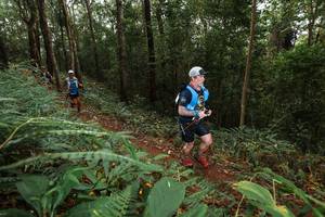 BIB: 
                            <button type="button" onclick="openModal(22533451)" class="btn btn-primary btn-sm float-right btn-popup" data-toggle="modal" data-target=".modal-high-quality">
                        <i class="fas fa-shopping-cart"></i> Add to Cart
                    </button>
                                            <button type="button" onclick="isThisMe(22533451, true)" class="btn btn-success btn-sm float-right btn-popup btn-isme hidden" data-toggle="tooltip" data-placement="bottom" title="นี่คือรูปของคุณใช่ไหม คลิกที่นี่เพื่อเอาเข้าอัลบั้ม">
                        <i class="fas fa-plus"></i> Add to album
                    </button>
                    <button type="button" onclick="isThisMe(22533451, false)" class="btn btn-warning btn-sm float-right btn-popup btn-isnotme hidden">
                        <i class="fas fa-ban"></i> Remove from album
                    </button>