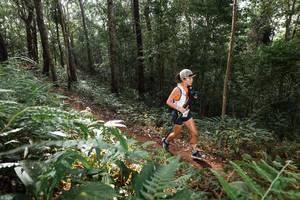 BIB: 
                            <button type="button" onclick="openModal(22544616)" class="btn btn-primary btn-sm float-right btn-popup" data-toggle="modal" data-target=".modal-high-quality">
                        <i class="fas fa-shopping-cart"></i> Add to Cart
                    </button>
                                            <button type="button" onclick="isThisMe(22544616, true)" class="btn btn-success btn-sm float-right btn-popup btn-isme hidden" data-toggle="tooltip" data-placement="bottom" title="นี่คือรูปของคุณใช่ไหม คลิกที่นี่เพื่อเอาเข้าอัลบั้ม">
                        <i class="fas fa-plus"></i> Add to album
                    </button>
                    <button type="button" onclick="isThisMe(22544616, false)" class="btn btn-warning btn-sm float-right btn-popup btn-isnotme hidden">
                        <i class="fas fa-ban"></i> Remove from album
                    </button>