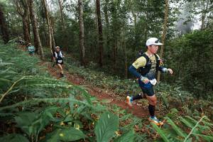 BIB: 
                            <button type="button" onclick="openModal(22571923)" class="btn btn-primary btn-sm float-right btn-popup" data-toggle="modal" data-target=".modal-high-quality">
                        <i class="fas fa-shopping-cart"></i> Add to Cart
                    </button>
                                            <button type="button" onclick="isThisMe(22571923, true)" class="btn btn-success btn-sm float-right btn-popup btn-isme hidden" data-toggle="tooltip" data-placement="bottom" title="นี่คือรูปของคุณใช่ไหม คลิกที่นี่เพื่อเอาเข้าอัลบั้ม">
                        <i class="fas fa-plus"></i> Add to album
                    </button>
                    <button type="button" onclick="isThisMe(22571923, false)" class="btn btn-warning btn-sm float-right btn-popup btn-isnotme hidden">
                        <i class="fas fa-ban"></i> Remove from album
                    </button>