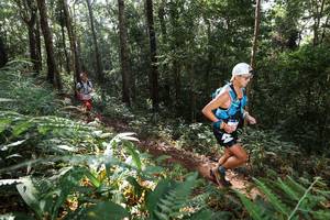 BIB: 
                            <button type="button" onclick="openModal(22544582)" class="btn btn-primary btn-sm float-right btn-popup" data-toggle="modal" data-target=".modal-high-quality">
                        <i class="fas fa-shopping-cart"></i> Add to Cart
                    </button>
                                            <button type="button" onclick="isThisMe(22544582, true)" class="btn btn-success btn-sm float-right btn-popup btn-isme hidden" data-toggle="tooltip" data-placement="bottom" title="นี่คือรูปของคุณใช่ไหม คลิกที่นี่เพื่อเอาเข้าอัลบั้ม">
                        <i class="fas fa-plus"></i> Add to album
                    </button>
                    <button type="button" onclick="isThisMe(22544582, false)" class="btn btn-warning btn-sm float-right btn-popup btn-isnotme hidden">
                        <i class="fas fa-ban"></i> Remove from album
                    </button>