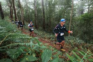 BIB: 
                            <button type="button" onclick="openModal(22572865)" class="btn btn-primary btn-sm float-right btn-popup" data-toggle="modal" data-target=".modal-high-quality">
                        <i class="fas fa-shopping-cart"></i> Add to Cart
                    </button>
                                            <button type="button" onclick="isThisMe(22572865, true)" class="btn btn-success btn-sm float-right btn-popup btn-isme hidden" data-toggle="tooltip" data-placement="bottom" title="นี่คือรูปของคุณใช่ไหม คลิกที่นี่เพื่อเอาเข้าอัลบั้ม">
                        <i class="fas fa-plus"></i> Add to album
                    </button>
                    <button type="button" onclick="isThisMe(22572865, false)" class="btn btn-warning btn-sm float-right btn-popup btn-isnotme hidden">
                        <i class="fas fa-ban"></i> Remove from album
                    </button>