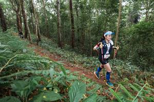 BIB: 
                            <button type="button" onclick="openModal(22580115)" class="btn btn-primary btn-sm float-right btn-popup" data-toggle="modal" data-target=".modal-high-quality">
                        <i class="fas fa-shopping-cart"></i> Add to Cart
                    </button>
                                            <button type="button" onclick="isThisMe(22580115, true)" class="btn btn-success btn-sm float-right btn-popup btn-isme hidden" data-toggle="tooltip" data-placement="bottom" title="นี่คือรูปของคุณใช่ไหม คลิกที่นี่เพื่อเอาเข้าอัลบั้ม">
                        <i class="fas fa-plus"></i> Add to album
                    </button>
                    <button type="button" onclick="isThisMe(22580115, false)" class="btn btn-warning btn-sm float-right btn-popup btn-isnotme hidden">
                        <i class="fas fa-ban"></i> Remove from album
                    </button>