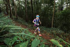 BIB: 
                            <button type="button" onclick="openModal(22533247)" class="btn btn-primary btn-sm float-right btn-popup" data-toggle="modal" data-target=".modal-high-quality">
                        <i class="fas fa-shopping-cart"></i> Add to Cart
                    </button>
                                            <button type="button" onclick="isThisMe(22533247, true)" class="btn btn-success btn-sm float-right btn-popup btn-isme hidden" data-toggle="tooltip" data-placement="bottom" title="นี่คือรูปของคุณใช่ไหม คลิกที่นี่เพื่อเอาเข้าอัลบั้ม">
                        <i class="fas fa-plus"></i> Add to album
                    </button>
                    <button type="button" onclick="isThisMe(22533247, false)" class="btn btn-warning btn-sm float-right btn-popup btn-isnotme hidden">
                        <i class="fas fa-ban"></i> Remove from album
                    </button>