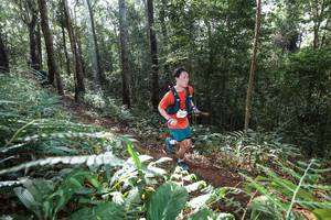 BIB: 
                            <button type="button" onclick="openModal(22543543)" class="btn btn-primary btn-sm float-right btn-popup" data-toggle="modal" data-target=".modal-high-quality">
                        <i class="fas fa-shopping-cart"></i> Add to Cart
                    </button>
                                            <button type="button" onclick="isThisMe(22543543, true)" class="btn btn-success btn-sm float-right btn-popup btn-isme hidden" data-toggle="tooltip" data-placement="bottom" title="นี่คือรูปของคุณใช่ไหม คลิกที่นี่เพื่อเอาเข้าอัลบั้ม">
                        <i class="fas fa-plus"></i> Add to album
                    </button>
                    <button type="button" onclick="isThisMe(22543543, false)" class="btn btn-warning btn-sm float-right btn-popup btn-isnotme hidden">
                        <i class="fas fa-ban"></i> Remove from album
                    </button>