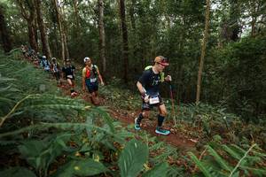 BIB: 3013, 
                            <button type="button" onclick="openModal(22570038)" class="btn btn-primary btn-sm float-right btn-popup" data-toggle="modal" data-target=".modal-high-quality">
                        <i class="fas fa-shopping-cart"></i> Add to Cart
                    </button>
                                            <button type="button" onclick="isThisMe(22570038, true)" class="btn btn-success btn-sm float-right btn-popup btn-isme hidden" data-toggle="tooltip" data-placement="bottom" title="นี่คือรูปของคุณใช่ไหม คลิกที่นี่เพื่อเอาเข้าอัลบั้ม">
                        <i class="fas fa-plus"></i> Add to album
                    </button>
                    <button type="button" onclick="isThisMe(22570038, false)" class="btn btn-warning btn-sm float-right btn-popup btn-isnotme hidden">
                        <i class="fas fa-ban"></i> Remove from album
                    </button>