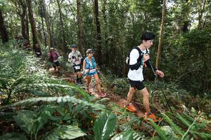 BIB: 
                            <button type="button" onclick="openModal(22547288)" class="btn btn-primary btn-sm float-right btn-popup" data-toggle="modal" data-target=".modal-high-quality">
                        <i class="fas fa-shopping-cart"></i> Add to Cart
                    </button>
                                            <button type="button" onclick="isThisMe(22547288, true)" class="btn btn-success btn-sm float-right btn-popup btn-isme hidden" data-toggle="tooltip" data-placement="bottom" title="นี่คือรูปของคุณใช่ไหม คลิกที่นี่เพื่อเอาเข้าอัลบั้ม">
                        <i class="fas fa-plus"></i> Add to album
                    </button>
                    <button type="button" onclick="isThisMe(22547288, false)" class="btn btn-warning btn-sm float-right btn-popup btn-isnotme hidden">
                        <i class="fas fa-ban"></i> Remove from album
                    </button>