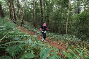 BIB: 
                            <button type="button" onclick="openModal(22579894)" class="btn btn-primary btn-sm float-right btn-popup" data-toggle="modal" data-target=".modal-high-quality">
                        <i class="fas fa-shopping-cart"></i> Add to Cart
                    </button>
                                            <button type="button" onclick="isThisMe(22579894, true)" class="btn btn-success btn-sm float-right btn-popup btn-isme hidden" data-toggle="tooltip" data-placement="bottom" title="นี่คือรูปของคุณใช่ไหม คลิกที่นี่เพื่อเอาเข้าอัลบั้ม">
                        <i class="fas fa-plus"></i> Add to album
                    </button>
                    <button type="button" onclick="isThisMe(22579894, false)" class="btn btn-warning btn-sm float-right btn-popup btn-isnotme hidden">
                        <i class="fas fa-ban"></i> Remove from album
                    </button>