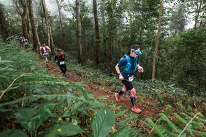 BIB: 
                            <button type="button" onclick="openModal(22572063)" class="btn btn-primary btn-sm float-right btn-popup" data-toggle="modal" data-target=".modal-high-quality">
                        <i class="fas fa-shopping-cart"></i> Add to Cart
                    </button>
                                            <button type="button" onclick="isThisMe(22572063, true)" class="btn btn-success btn-sm float-right btn-popup btn-isme hidden" data-toggle="tooltip" data-placement="bottom" title="นี่คือรูปของคุณใช่ไหม คลิกที่นี่เพื่อเอาเข้าอัลบั้ม">
                        <i class="fas fa-plus"></i> Add to album
                    </button>
                    <button type="button" onclick="isThisMe(22572063, false)" class="btn btn-warning btn-sm float-right btn-popup btn-isnotme hidden">
                        <i class="fas fa-ban"></i> Remove from album
                    </button>