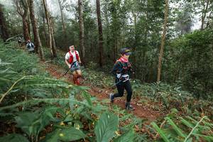 BIB: 
                            <button type="button" onclick="openModal(22572069)" class="btn btn-primary btn-sm float-right btn-popup" data-toggle="modal" data-target=".modal-high-quality">
                        <i class="fas fa-shopping-cart"></i> Add to Cart
                    </button>
                                            <button type="button" onclick="isThisMe(22572069, true)" class="btn btn-success btn-sm float-right btn-popup btn-isme hidden" data-toggle="tooltip" data-placement="bottom" title="นี่คือรูปของคุณใช่ไหม คลิกที่นี่เพื่อเอาเข้าอัลบั้ม">
                        <i class="fas fa-plus"></i> Add to album
                    </button>
                    <button type="button" onclick="isThisMe(22572069, false)" class="btn btn-warning btn-sm float-right btn-popup btn-isnotme hidden">
                        <i class="fas fa-ban"></i> Remove from album
                    </button>