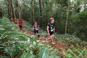 BIB: 
                            <button type="button" onclick="openModal(22583909)" class="btn btn-primary btn-sm float-right btn-popup" data-toggle="modal" data-target=".modal-high-quality">
                        <i class="fas fa-shopping-cart"></i> Add to Cart
                    </button>
                                            <button type="button" onclick="isThisMe(22583909, true)" class="btn btn-success btn-sm float-right btn-popup btn-isme hidden" data-toggle="tooltip" data-placement="bottom" title="นี่คือรูปของคุณใช่ไหม คลิกที่นี่เพื่อเอาเข้าอัลบั้ม">
                        <i class="fas fa-plus"></i> Add to album
                    </button>
                    <button type="button" onclick="isThisMe(22583909, false)" class="btn btn-warning btn-sm float-right btn-popup btn-isnotme hidden">
                        <i class="fas fa-ban"></i> Remove from album
                    </button>