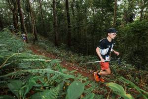 BIB: 
                            <button type="button" onclick="openModal(22533420)" class="btn btn-primary btn-sm float-right btn-popup" data-toggle="modal" data-target=".modal-high-quality">
                        <i class="fas fa-shopping-cart"></i> Add to Cart
                    </button>
                                            <button type="button" onclick="isThisMe(22533420, true)" class="btn btn-success btn-sm float-right btn-popup btn-isme hidden" data-toggle="tooltip" data-placement="bottom" title="นี่คือรูปของคุณใช่ไหม คลิกที่นี่เพื่อเอาเข้าอัลบั้ม">
                        <i class="fas fa-plus"></i> Add to album
                    </button>
                    <button type="button" onclick="isThisMe(22533420, false)" class="btn btn-warning btn-sm float-right btn-popup btn-isnotme hidden">
                        <i class="fas fa-ban"></i> Remove from album
                    </button>