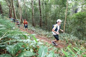 BIB: 
                            <button type="button" onclick="openModal(22581628)" class="btn btn-primary btn-sm float-right btn-popup" data-toggle="modal" data-target=".modal-high-quality">
                        <i class="fas fa-shopping-cart"></i> Add to Cart
                    </button>
                                            <button type="button" onclick="isThisMe(22581628, true)" class="btn btn-success btn-sm float-right btn-popup btn-isme hidden" data-toggle="tooltip" data-placement="bottom" title="นี่คือรูปของคุณใช่ไหม คลิกที่นี่เพื่อเอาเข้าอัลบั้ม">
                        <i class="fas fa-plus"></i> Add to album
                    </button>
                    <button type="button" onclick="isThisMe(22581628, false)" class="btn btn-warning btn-sm float-right btn-popup btn-isnotme hidden">
                        <i class="fas fa-ban"></i> Remove from album
                    </button>