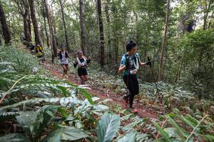 BIB: 3200
                            <button type="button" onclick="openModal(22565270)" class="btn btn-primary btn-sm float-right btn-popup" data-toggle="modal" data-target=".modal-high-quality">
                        <i class="fas fa-shopping-cart"></i> Add to Cart
                    </button>
                                            <button type="button" onclick="isThisMe(22565270, true)" class="btn btn-success btn-sm float-right btn-popup btn-isme hidden" data-toggle="tooltip" data-placement="bottom" title="นี่คือรูปของคุณใช่ไหม คลิกที่นี่เพื่อเอาเข้าอัลบั้ม">
                        <i class="fas fa-plus"></i> Add to album
                    </button>
                    <button type="button" onclick="isThisMe(22565270, false)" class="btn btn-warning btn-sm float-right btn-popup btn-isnotme hidden">
                        <i class="fas fa-ban"></i> Remove from album
                    </button>