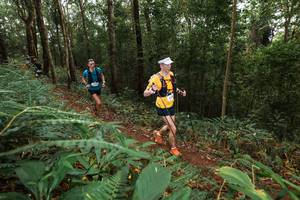 BIB: 
                            <button type="button" onclick="openModal(22534163)" class="btn btn-primary btn-sm float-right btn-popup" data-toggle="modal" data-target=".modal-high-quality">
                        <i class="fas fa-shopping-cart"></i> Add to Cart
                    </button>
                                            <button type="button" onclick="isThisMe(22534163, true)" class="btn btn-success btn-sm float-right btn-popup btn-isme hidden" data-toggle="tooltip" data-placement="bottom" title="นี่คือรูปของคุณใช่ไหม คลิกที่นี่เพื่อเอาเข้าอัลบั้ม">
                        <i class="fas fa-plus"></i> Add to album
                    </button>
                    <button type="button" onclick="isThisMe(22534163, false)" class="btn btn-warning btn-sm float-right btn-popup btn-isnotme hidden">
                        <i class="fas fa-ban"></i> Remove from album
                    </button>