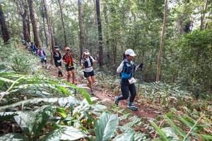 BIB: 
                            <button type="button" onclick="openModal(22565651)" class="btn btn-primary btn-sm float-right btn-popup" data-toggle="modal" data-target=".modal-high-quality">
                        <i class="fas fa-shopping-cart"></i> Add to Cart
                    </button>
                                            <button type="button" onclick="isThisMe(22565651, true)" class="btn btn-success btn-sm float-right btn-popup btn-isme hidden" data-toggle="tooltip" data-placement="bottom" title="นี่คือรูปของคุณใช่ไหม คลิกที่นี่เพื่อเอาเข้าอัลบั้ม">
                        <i class="fas fa-plus"></i> Add to album
                    </button>
                    <button type="button" onclick="isThisMe(22565651, false)" class="btn btn-warning btn-sm float-right btn-popup btn-isnotme hidden">
                        <i class="fas fa-ban"></i> Remove from album
                    </button>