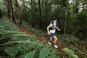 BIB: 
                            <button type="button" onclick="openModal(22534293)" class="btn btn-primary btn-sm float-right btn-popup" data-toggle="modal" data-target=".modal-high-quality">
                        <i class="fas fa-shopping-cart"></i> Add to Cart
                    </button>
                                            <button type="button" onclick="isThisMe(22534293, true)" class="btn btn-success btn-sm float-right btn-popup btn-isme hidden" data-toggle="tooltip" data-placement="bottom" title="นี่คือรูปของคุณใช่ไหม คลิกที่นี่เพื่อเอาเข้าอัลบั้ม">
                        <i class="fas fa-plus"></i> Add to album
                    </button>
                    <button type="button" onclick="isThisMe(22534293, false)" class="btn btn-warning btn-sm float-right btn-popup btn-isnotme hidden">
                        <i class="fas fa-ban"></i> Remove from album
                    </button>