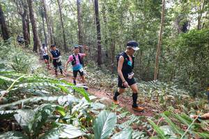 BIB: 
                            <button type="button" onclick="openModal(22565787)" class="btn btn-primary btn-sm float-right btn-popup" data-toggle="modal" data-target=".modal-high-quality">
                        <i class="fas fa-shopping-cart"></i> Add to Cart
                    </button>
                                            <button type="button" onclick="isThisMe(22565787, true)" class="btn btn-success btn-sm float-right btn-popup btn-isme hidden" data-toggle="tooltip" data-placement="bottom" title="นี่คือรูปของคุณใช่ไหม คลิกที่นี่เพื่อเอาเข้าอัลบั้ม">
                        <i class="fas fa-plus"></i> Add to album
                    </button>
                    <button type="button" onclick="isThisMe(22565787, false)" class="btn btn-warning btn-sm float-right btn-popup btn-isnotme hidden">
                        <i class="fas fa-ban"></i> Remove from album
                    </button>