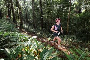 BIB: 
                            <button type="button" onclick="openModal(22544337)" class="btn btn-primary btn-sm float-right btn-popup" data-toggle="modal" data-target=".modal-high-quality">
                        <i class="fas fa-shopping-cart"></i> Add to Cart
                    </button>
                                            <button type="button" onclick="isThisMe(22544337, true)" class="btn btn-success btn-sm float-right btn-popup btn-isme hidden" data-toggle="tooltip" data-placement="bottom" title="นี่คือรูปของคุณใช่ไหม คลิกที่นี่เพื่อเอาเข้าอัลบั้ม">
                        <i class="fas fa-plus"></i> Add to album
                    </button>
                    <button type="button" onclick="isThisMe(22544337, false)" class="btn btn-warning btn-sm float-right btn-popup btn-isnotme hidden">
                        <i class="fas fa-ban"></i> Remove from album
                    </button>